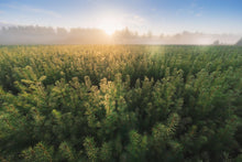 Planet | Emission reductions