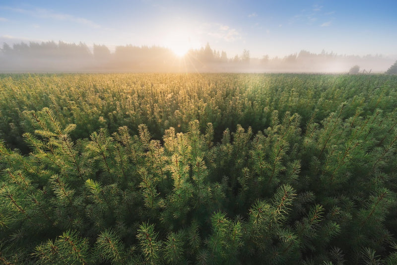 Planet | Emission reductions
