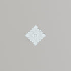 Adornment Ornament | Small ceiling rose or ornament