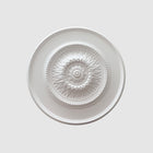 Adornment 2 | Ceiling rose